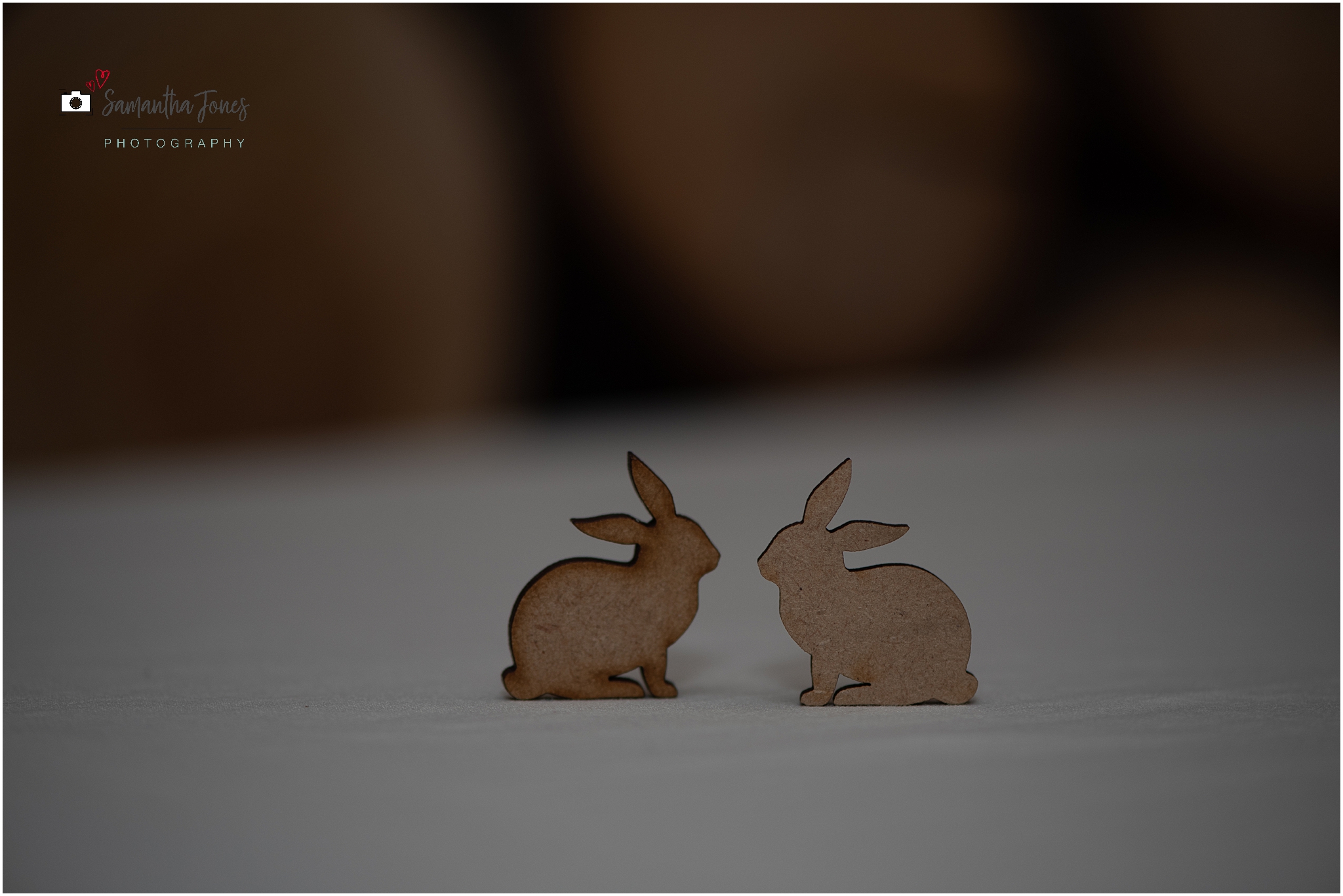 rabbit and rabbit